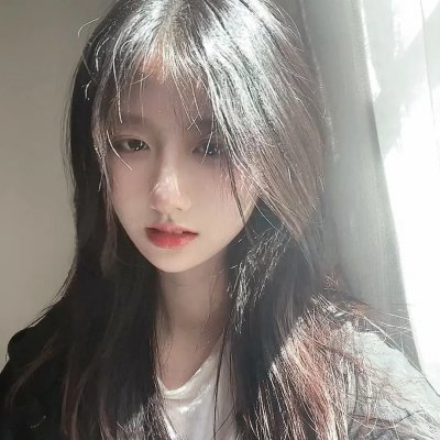 北部丛林封面