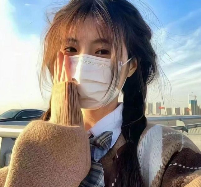 朵儿的战争封面